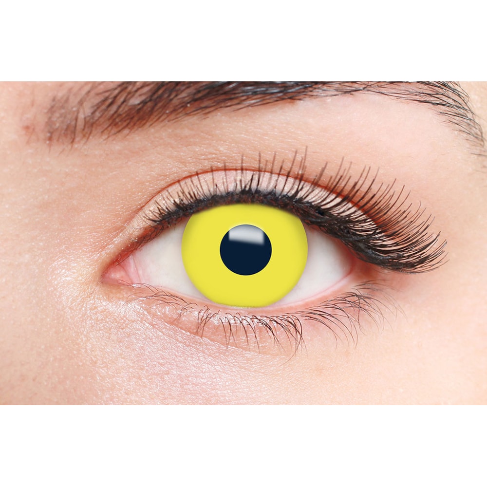 image_fecee5e8-a3fa-40ba-98a9-cc9d4f617801